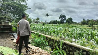 Bhabinkamtibmas Labuapi Aktif Dorong Ketahanan Pangan di Tingkat Petani