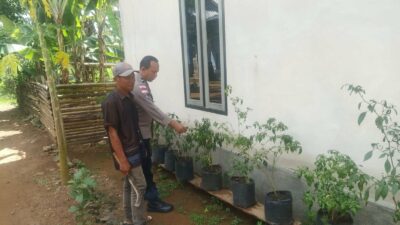 Polri dan Warga Bangun Ketahanan Pangan Lewat Pekarangan Rumah di Sekotong