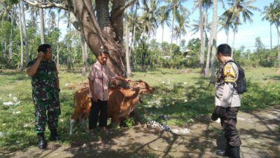 Bhabinkamtibmas Batulayar Giatkan Pertanian Pekarangan Warga