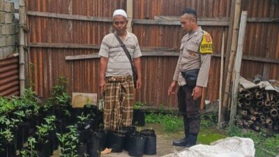 Ketahanan Pangan Nasional Dimulai dari Pekarangan Rumah: Inisiatif Polsek Kuripan