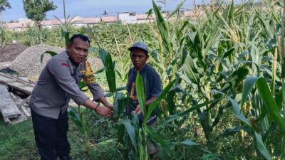 Optimalisasi Lahan Kosong Desa Bagik Polak Barat untuk Ketahanan Pangan