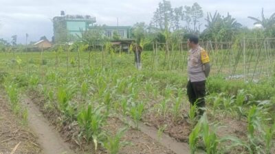 Silaturahmi Polisi dan Petani, Perkuat Pangan dan Keamanan Desa