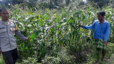 Bhabinkamtibmas Dorong Swasembada Pangan di Desa Montong Are