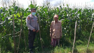 Bhabinkamtibmas Sosialisasi Pemanfaatan Lahan Kosong untuk Pangan