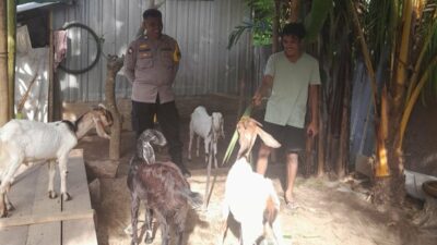Bhabinkamtibmas Senggigi Gencarkan Edukasi Ketahanan Pangan di Dusun Krandangan