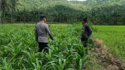 Kunjungan DDS: Ketahanan Pangan dan Kamtibmas Jadi Fokus Polisi Sekotong