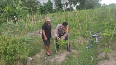 Kolaborasi Warga dan Polisi Dorong Pemanfaatan Pekarangan di Labuapi
