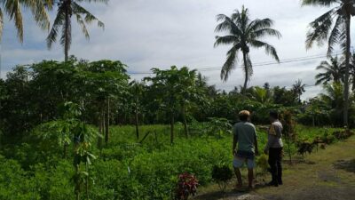 Polri Dukung Ketahanan Pangan di Dusun Tambang Eleh, Lombok Barat