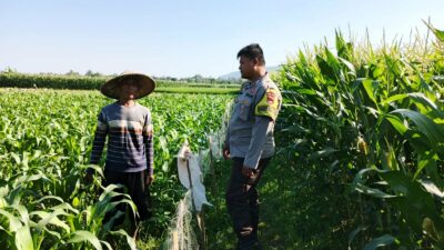 Polri dan Petani Bersinergi Wujudkan Ketahanan Pangan di Lembar, Lombok Barat
