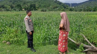 Polsek Lembar Dukung Ketahanan Pangan Lewat Sambang Petani di Sekotong Timur