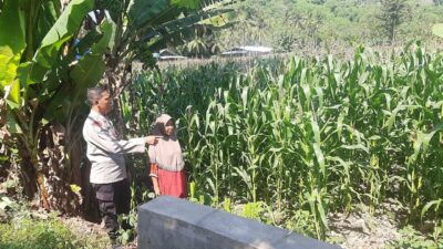 Polsek Lembar Dukung Ketahanan Pangan di Dusun Jelateng