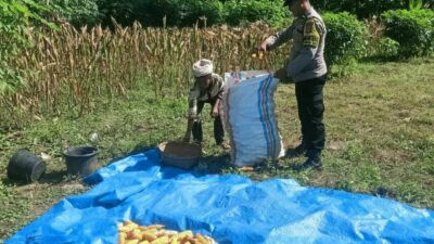Bangun Pagi: Rahasia Sukses dan Bahagia Terungkap?