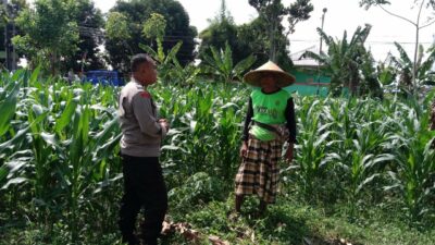 Dukung Ketahanan Pangan, Polisi Ajak Petani Manfaatkan Lahan Kosong