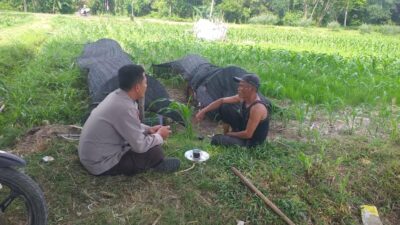 Polres Lombok Barat Dukung Petani Wujudkan Ketahanan Pangan di Lembar