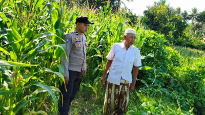 Langkah Strategis Polri Jaga Ketahanan Pangan di Desa Mareje Timur