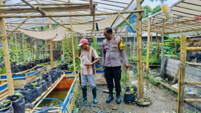 Bhabinkamtibmas Desa Bajur Dorong Kemandirian Pangan Warga Tempit