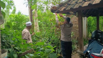 Ketahanan Pangan Dimulai dari Desa: Aksi Humanis Polri di Sekotong, Lombok Barat