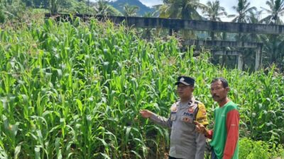Bhabinkamtibmas Sekotong Dorong Pemanfaatan Pekarangan untuk Ketahanan Pangan