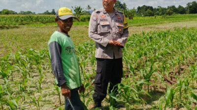 Bhabinkamtibmas Telagawaru Dorong Ketahanan Pangan Warga Paok Kambut