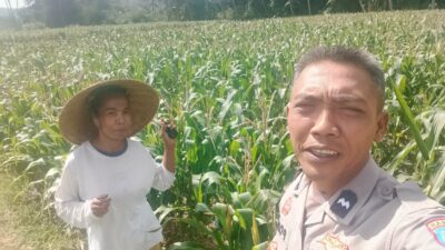 Dukungan Polri di Eyat Mayang, Petani Jagung Tak Sendiri