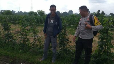 Ketahanan Pangan Dimulai dari Desa, Inisiatif Bhabinkamtibmas di Dusun Beremi Kuripan