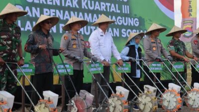 Ketahanan Pangan NTB, Polda dan Pemda Tanam Jagung Serentak di Lombok Barat