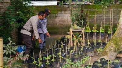 Polri Dorong Ketahanan Pangan dari Pekarangan Warga Kuripan Utara