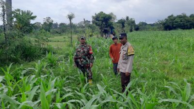 Polri Gencarkan Ketahanan Pangan di Lombok Barat, Bhabinkamtibmas Ajak Warga Sukseskan Swasembada