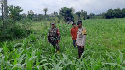 Sinergi Polisi dan Petani di Dusun Nyiur Gasing Dukung Ketahanan Pangan