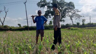 Pekarangan Jadi Lumbung Keluarga: Polri dan Warga Desa Kuripan Wujudkan Pangan Tangguh