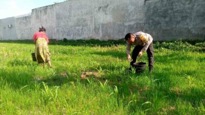 Polri di Lombok Barat Gencarkan Pemanfaatan Lahan Tidur untuk Ketahanan Pangan