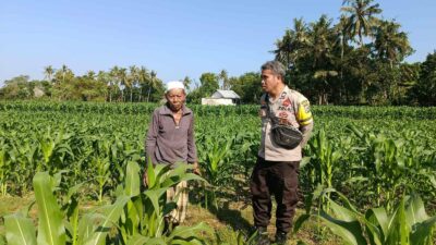 Dukung Ketahanan Pangan, Bhabinkamtibmas Sandik Edukasi Warga Perempung