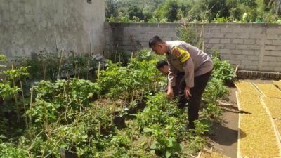 Inisiatif Humanis Polri di Sekotong Tengah, Edukasi Pangan dari Pekarangan Rumah