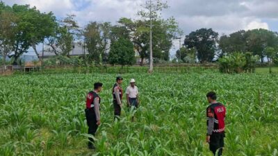 Polres Lombok Barat Dampingi Petani Gerung Utara, Dukung Swasembada Pangan