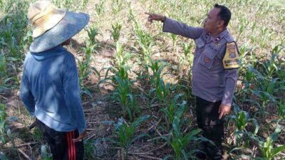 Sinergi Polri dan Petani, Optimalisasi Lahan Kosong di Dusun Jogot untuk Ketahanan Pangan