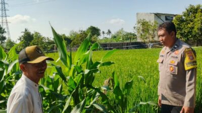 Bhabinkamtibmas Telagawaru Edukasi Petani Soal Lahan Pekarangan Bergizi