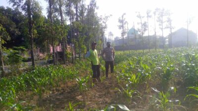 Kolaborasi Polisi dan Petani di Jagaraga untuk Wujudkan Lumbung Pangan Lokal