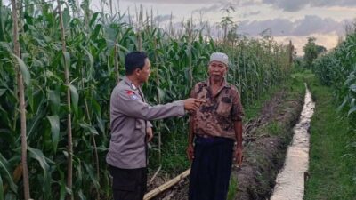 Sinergi Polisi dan Petani di Desa Babussalam untuk Wujudkan Ketahanan Pangan