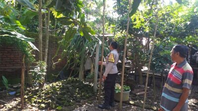 Polsek Kuripan Gandeng Warga Dusun Beremi Tingkatkan Kemandirian Pangan