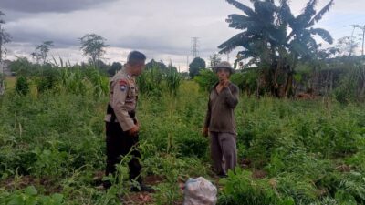 Bhabinkamtibmas Terong Tawah Dorong Pemanfaatan Pekarangan untuk Ketahanan Pangan