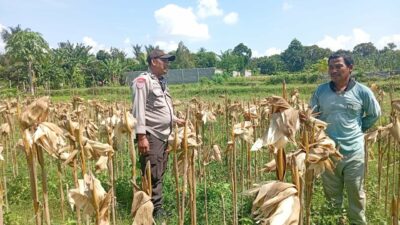 Situasi Desa Merembu Kondusif, Polisi Ajak Warga Fokus pada Kemandirian Pangan