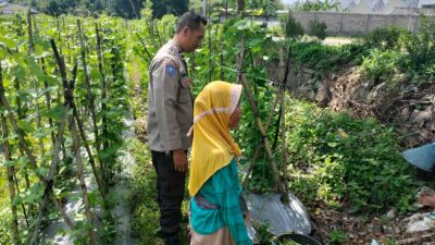 Ketahanan Pangan Diperkuat, Bhabinkamtibmas Desa Labuapi Ajak Warga Produktif