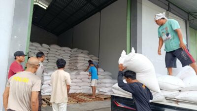 Bulog Mataram Serap 3,4 Ton Jagung Petani Gerung dengan Pengawalan Polisi