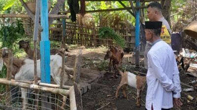 Ketahanan Pangan Desa Senggigi Didukung Inisiatif Bhabinkamtibmas Polsek Batulayar