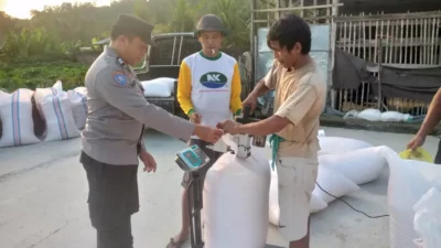 Jagung Petani Gerung Lolos Uji Kualitas, Siap Diserap Bulog NTB