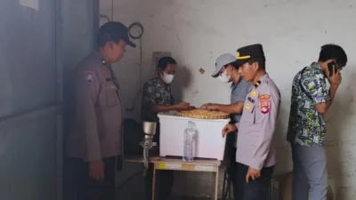 Petani Lega! Jagung Kering Terserap Bulog dengan Harga Acuan Pemerintah