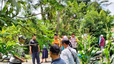 P3-TGAI Lelede: Dukungan Ustadz Abdul Hadi untuk Petani Lombok Barat