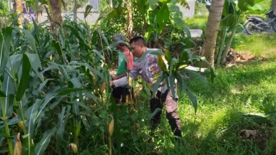 Sinergi Polri dan Petani di Lombok Barat Perkuat Kemandirian Pangan