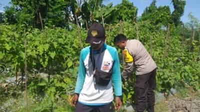 Bhabinkamtibmas Ajak Warga Optimalkan Pekarangan untuk Ketahanan Pangan