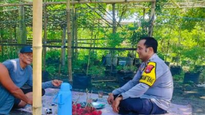 Aksi Bhabinkamtibmas Labuapi Perkuat Pangan Keluarga Melalui Optimalisasi Pekarangan